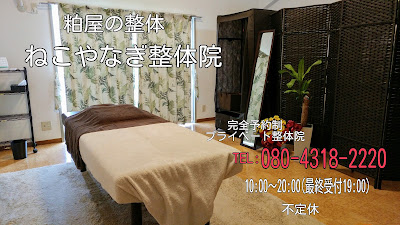ねこやなぎ整体院 사진 3
