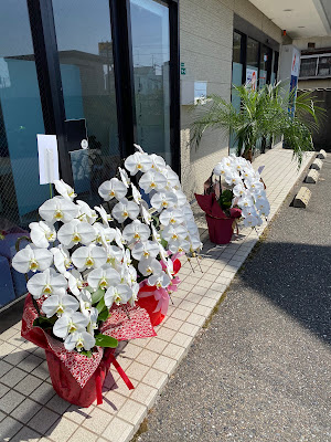 Goto Sports Orthopedic Clinic 사진 5
