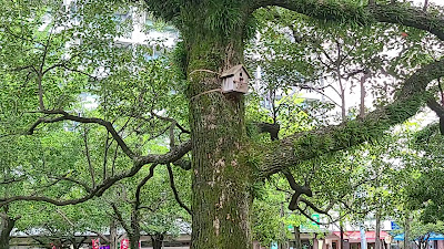 스사키 공원 사진 3
