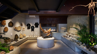 Fossil Emporium & Museum 사진 2