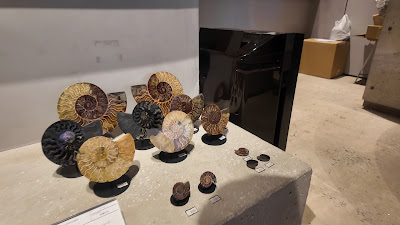 Fossil Emporium & Museum 사진 3