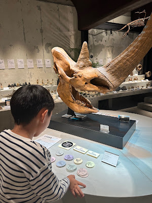 Fossil Emporium & Museum 사진 4