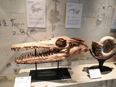 Fossil Emporium & Museum 사진 5