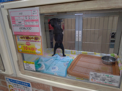 NAFCO Fukuoka Airport Store