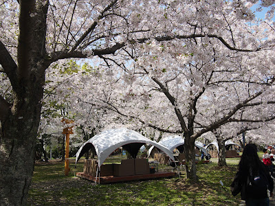 Maizuru Park BBQ GARDEN 사진 5