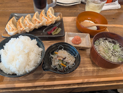 Fukuoka dumpling fresh 사진 5