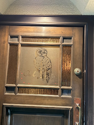 Owl 사진 3