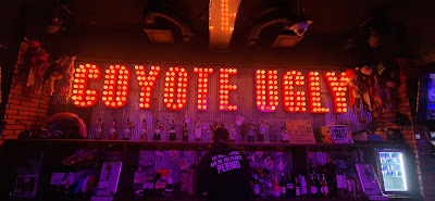 Coyote Ugly 사진 3