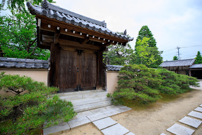 묘락사 사진 4