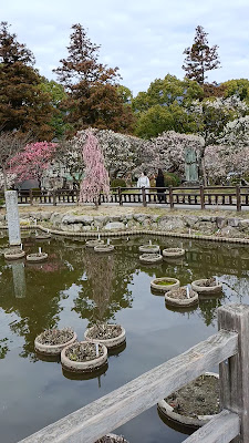 Dazaifu Tenmangu Temporary Hall 사진 3