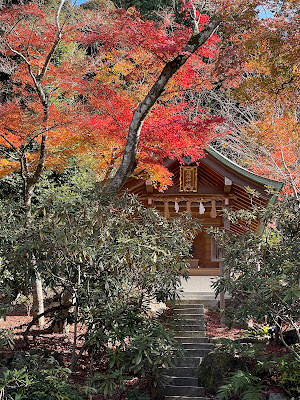 Susa Shrine 사진 4
