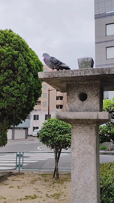 Amatsu Shrine 사진 3