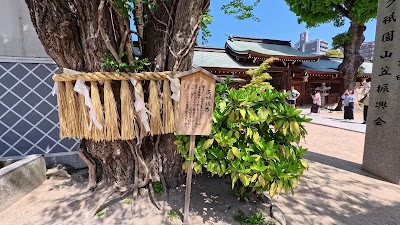 구시다 신사 사진 3