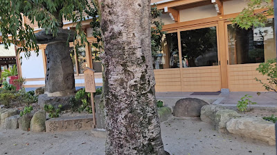 Kushida Shrine North Gate 사진 3