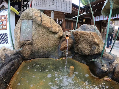 영천학의 우물 사진 3