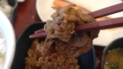 Nakau Hanmichibashi 사진 2