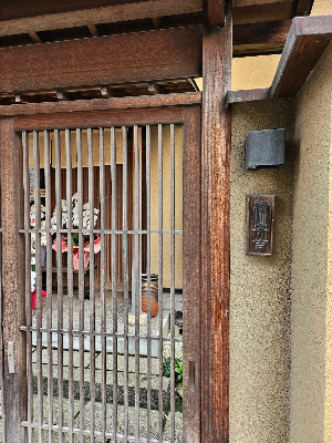 야스키치 사진 4