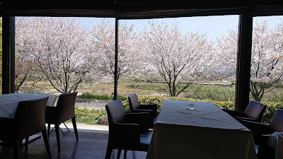 季のもの鉄板 室 사진 2
