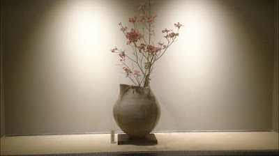 熟成鮨光史郎(Koushiro) 사진 5