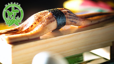 Izakaya Takenoya Kawabata 사진 3