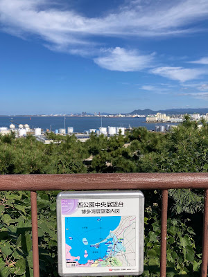 전망대광장 사진 4