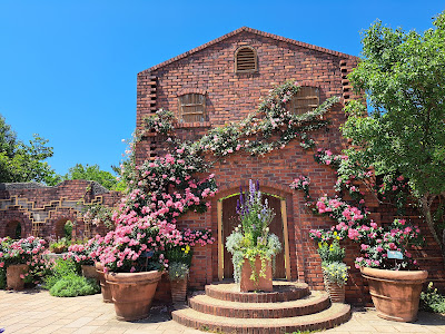 Flower Museum (Uminonakamichi Seaside Park) 사진 5