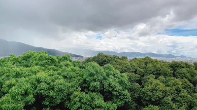 Konosu-yama Observation Deck 사진 3