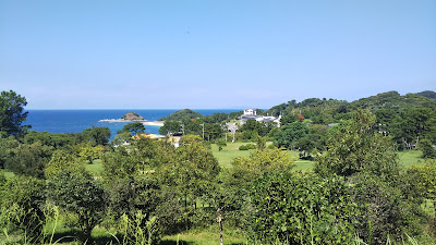 大崎展望台 사진 4
