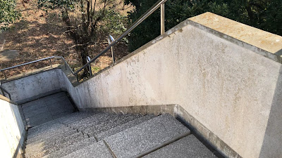 大崎展望台 사진 3