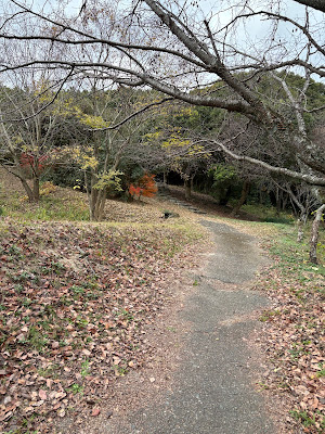 水城跡展望台 사진 2