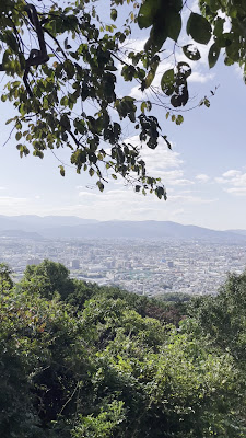 大城林道 展望台 사진 3