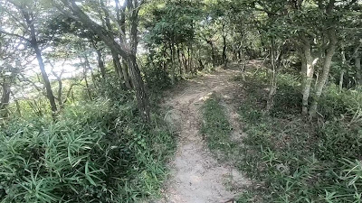 創造の森展望台 사진 3