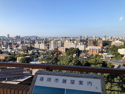 Observation Deck 사진 4
