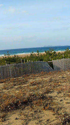 Seaside Hill Shioya 사진 3