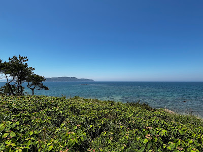 Seaside Hill Shioya 사진 4