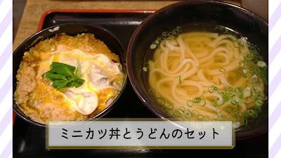 Horino 사진 3
