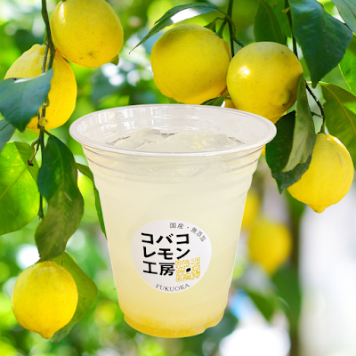 コバコレモン工房 사진 3