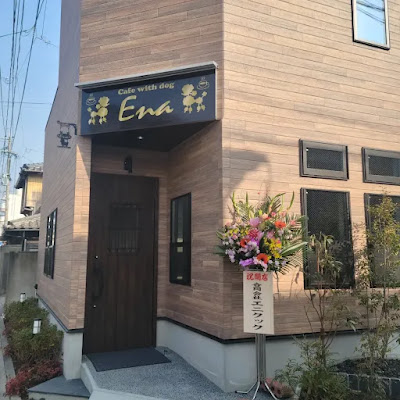 cafe with dog Ena