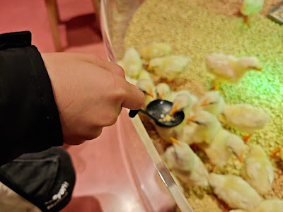 Moff animal cafe LaLaport Fukuoka 사진 2