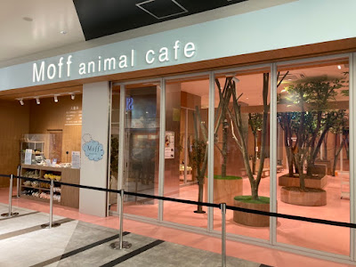 Moff animal cafe LaLaport Fukuoka
