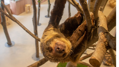 Moff animal cafe LaLaport Fukuoka 사진 5