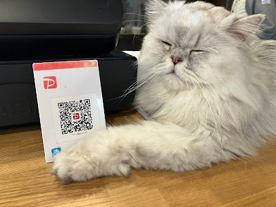猫カフェcota 사진 3