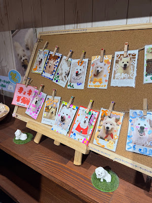 Samoyed Park Fukuoka Tenjin 사진 3