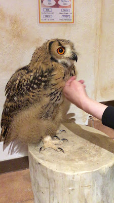 Owl Cafe Tenjin 사진 2