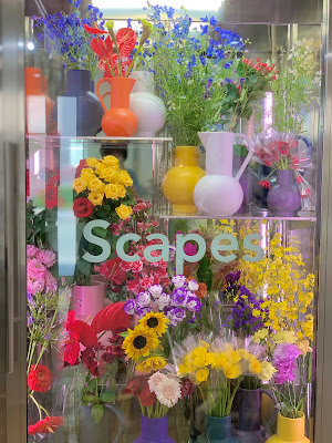 Scapes 사진 4