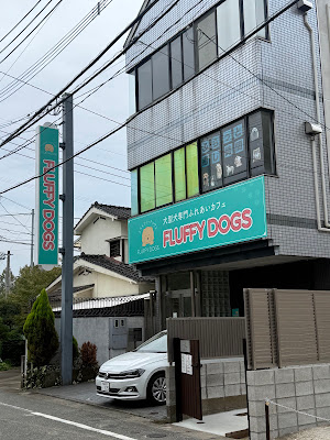 Fluffy dogs フラッフィードッグス