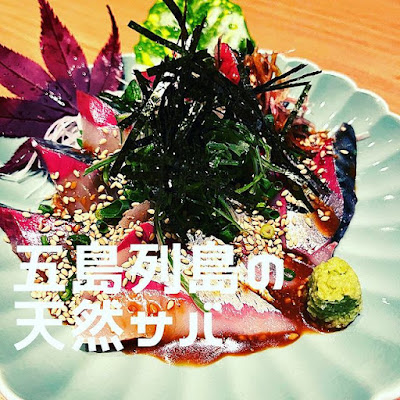 博多野菜巻き串×ねりつくね 寅松 六本松店 사진 4
