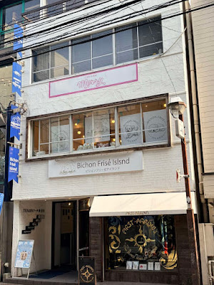 ビションフリーゼアイランド福岡大名店 사진 2