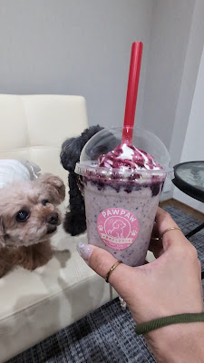 室内ドッグランPAWPAW 사진 5