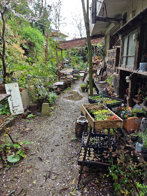 いきぬきどころ/きんど